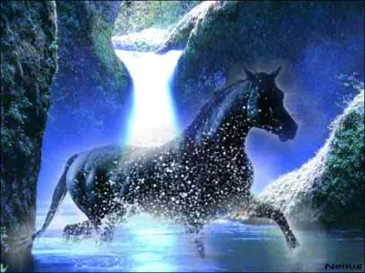 Le cheval est considr comme :