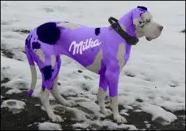 Et les chiens... . . N'existent pas !