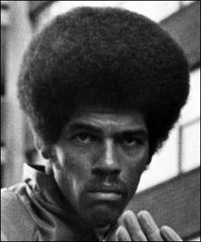 Dans  Opration dragon  un acteur de la Blaxploitation combat au cot de Bruce Lee. Il s'agit de ...