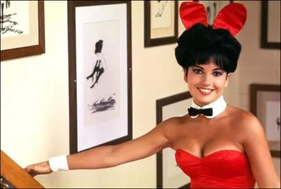 Les  Bunnies  taient-elles  playmates  (c'est  dire posant dvtues pour le magazine Playboy) ?