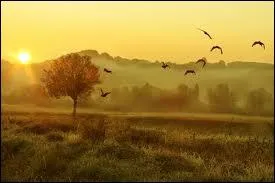 Quel est l'interpr�te des paroles  Le soleil se l�ve encore, m�me si tu ne crois plus � l'aurore  ?