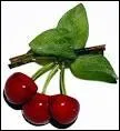 Comment se dit cerise ?