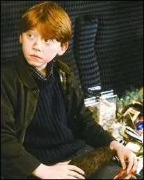 Combien a-t-il de frres ?