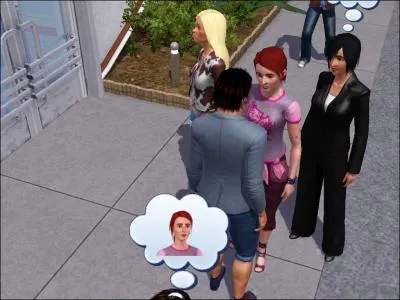 Que va faire la Sim ?