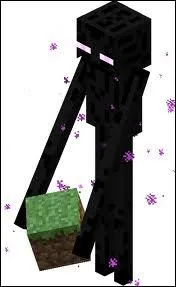 Quelle est la faiblesse de l'enderman ?