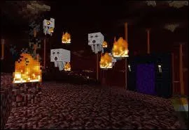 Quel monstre ne fait pas partie du nether ?
