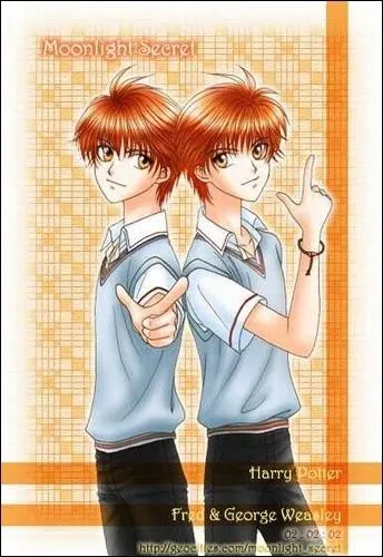 Qui obit  l'ordre de Fred et George ( savoir : pourrir la vie de Dolores Ombrage tant qu'elle resterait  Poudlard) ?