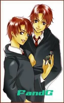 Quels adultes ressemblaient (moralement)  Fred et George du temps de leur jeunesse ?