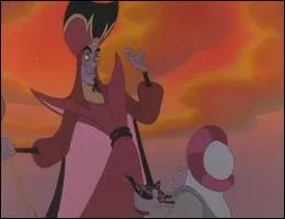 Comment s'appelle le perroquet de Jafar ?