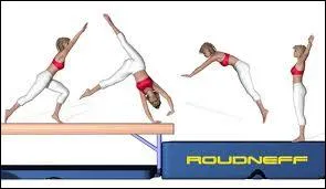 Quelle est cette sortie de poutre ?