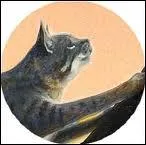 Qui est le premier mentor de Nuage de Geai ? Et le deuxime ?