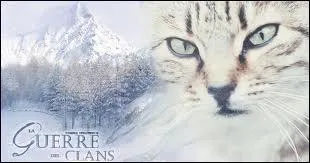 Quel apprenti se rend  la Source de Lune en cachette, en suivant Feuille de Lune ?