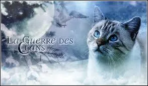 Quel est le mystrieux  pouvoir  de Nuage de Geai ?