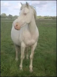 Quelle est cette robe ?