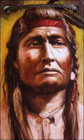 Quelle fut la cause principale du gnocide des Indiens ?