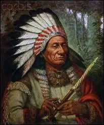 Imagine... Tu es invité(e) à dîner par une famille dans un tipi... Ton hôte se met à nettoyer son calumet... Tu dis quoi si tu es poli(e) ?