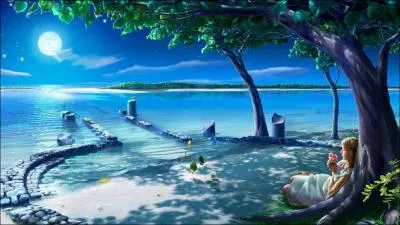 Combien d'toiles brillent trs fortement ? ( Sans compter la lune )