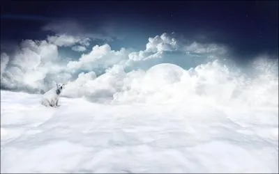 N'est-ce pas mignon ? De quoi s'agit t-il ?