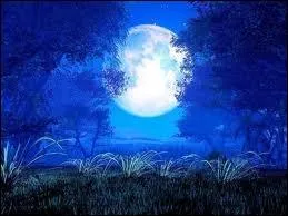 Bien qu'elle soit ronde, la Lune n'est pas considre comme une plante. Savez-vous pourquoi ?