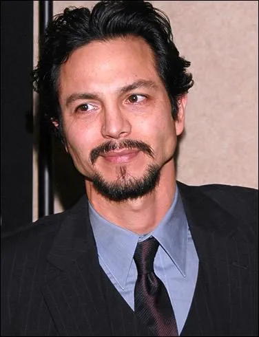 Dans quelle srie a-t-il jou (Cet acteur est malheureusement trop peu sur les crans) ?