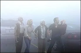 Stephen King a écrit un huis-clos se déroulant dans un supermarché où plusieurs personnes tentent d'échapper à des créatures inconnues.