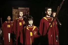 Qui a fait partie de l'quipe de quidditch ?