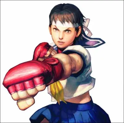Sakura, la disciple de Dan the Man, apparat dans pas mal de jeux SF et crossovers. Mais au dpart, elle vient d'un autre jeu de combat Capcom...