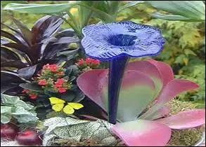 À quoi peut servir cette fleur à papillons, formée d'une tige et d'une belle corolle en verre soufflé ?