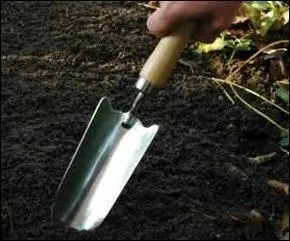 Planter c'est le moment, et bien sûr les plantes à racines nues, de préférence.
