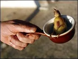 Lequel de ces crivains apprciait et cuisinait particulirement les ortolans dont il donna la recette historique dans son  grand livre de la cuisine  ?