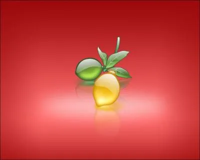 Quels sont ces fruits ?