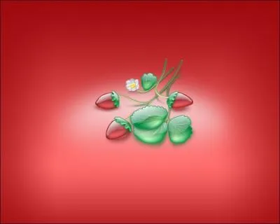 Quels sont ces fruits ?