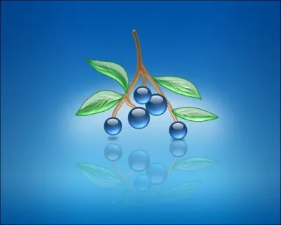 Quels sont ces fruits ?