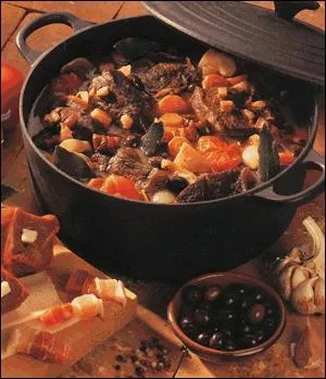 En enlevant une lettre de celles qui composent le nom d'un long fleuve europen qui prend sa source en Fort-Noire, vous dcouvrirez le nom de ce plat en sauce. De quelle lettre s'agit-il ?