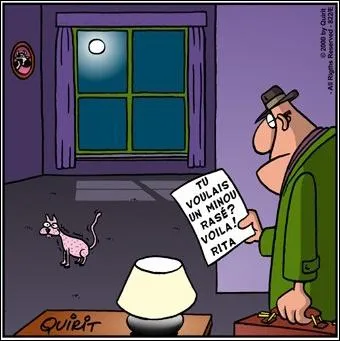 En ajoutant un  n   ce qui peut tre un tour jou  quelqu'un ou une pice de thtre comique, et en mlangeant le tout, vous obtenez le nom d'un pays. Lequel ?