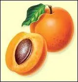 Comment appelle-t-on l'abricot en espagnol ?