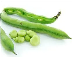 Comment appelle-t-on les fves en espagnol ?