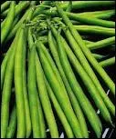 Comment appelle-t-on les haricots verts en espagnol ?