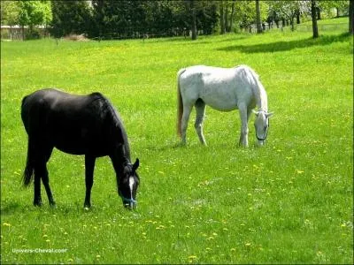 (Si vous avez répondu juste à la question du dessus, vous pourrez répondre à celle-ci, sinon, ne la faites pas) Vous allez y aller mais le moniteur vous dis qu'il vous manque toujours quelque chose :