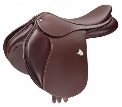 Comment s'appelle la partie de la selle sur laquelle on pose ses fesses ?