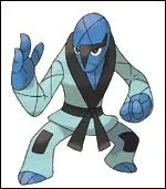 Les deux faiblesses de Karacle sont le type Psy et le Vol :