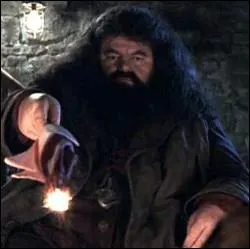 Comment s'appelle la mre de Rubeus Hagrid ?