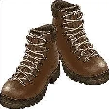 Qui a chanté un texte où il affirmait avoir ''des souliers qui ont beaucoup voyagé'' ?