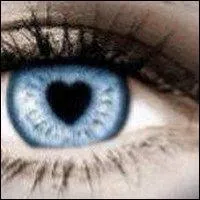 ''Rétines et pupilles / Les garçons ont les yeux qui brillent / Pour un jeu de dupes / Voir -----------------------------------''