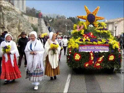 Dans quelle commune des Alpes Maritimes se tient la fte des violettes ?