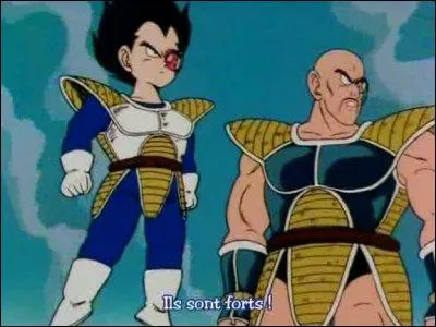 Comment s'appelle celui de droite ?