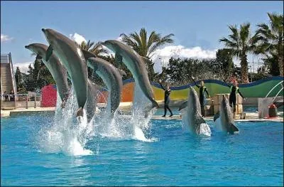 Comment s'appelle ce parc franais ?