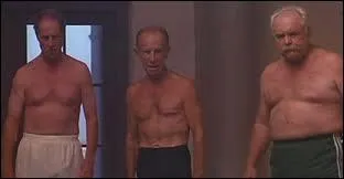 Ces trois pensionnaires d'une maison de repos rajeunissent  vue d'oeil grce  leurs baignades nocturnes dans une piscine prive du quartier. Quel est le titre de ce film ?