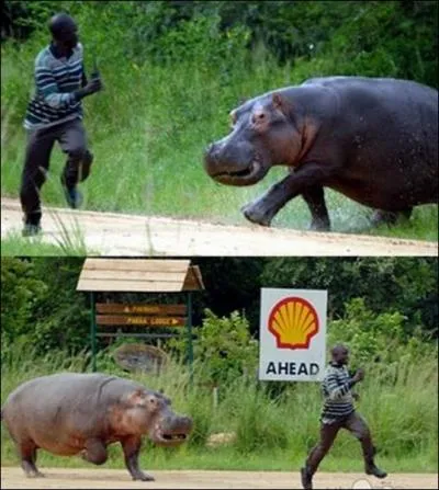 La diplomatie et lui, �a fait deux, mais � quelle vitesse peut-il vous charger ?