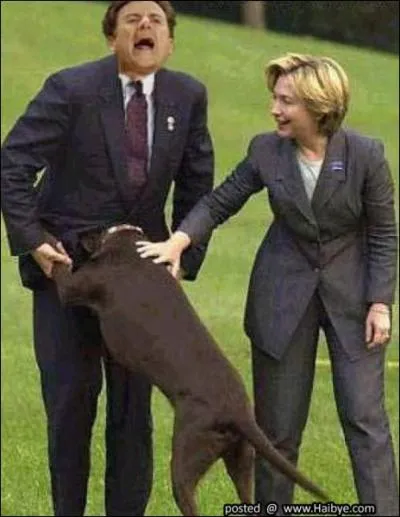 Ca fait mal, mais c'est pour rire, où attaquerait le chien dans des conditions réelles ?